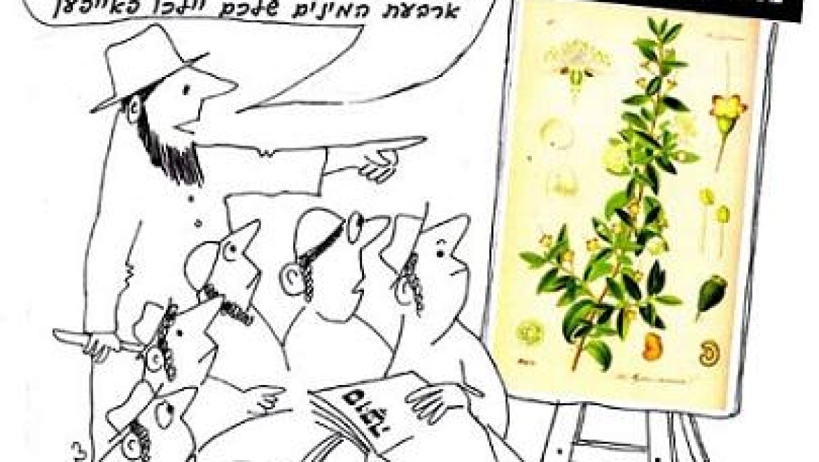 הדס שנקטם ולאחר זמן צמח פרי במקום הקטימה