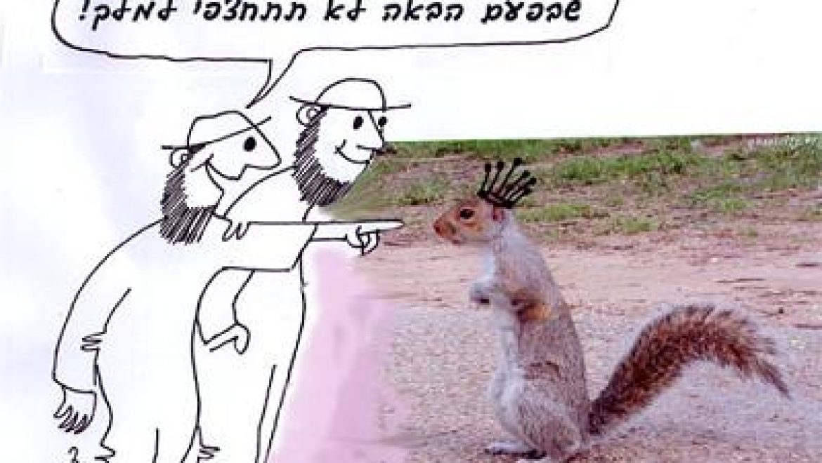 המלכה ושתי סירבה להיות חשפנית משום שצמח לה זנב