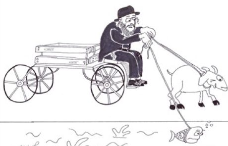 עגלון הרותם לעגלתו דג ועז למטרות נסיעה והובלה