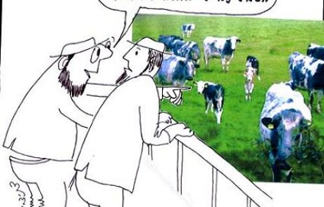 One who borrows a cow for sexual purposes