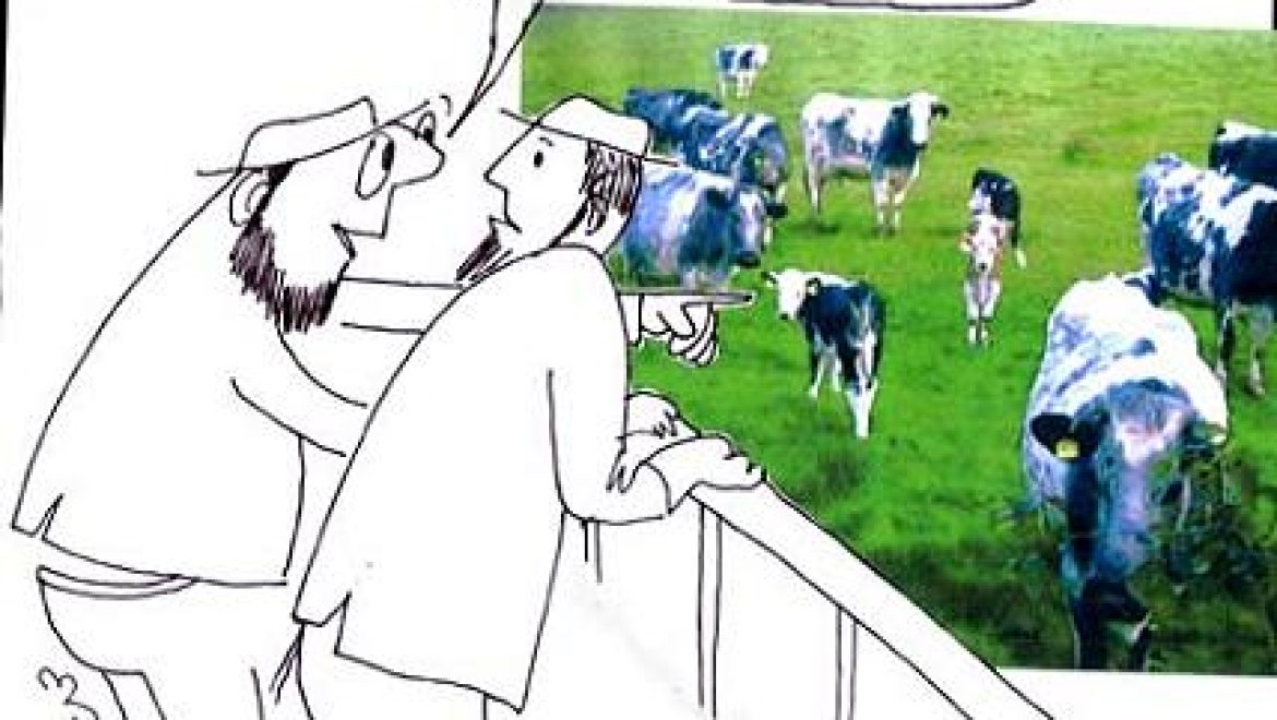 One who borrows a cow for sexual purposes