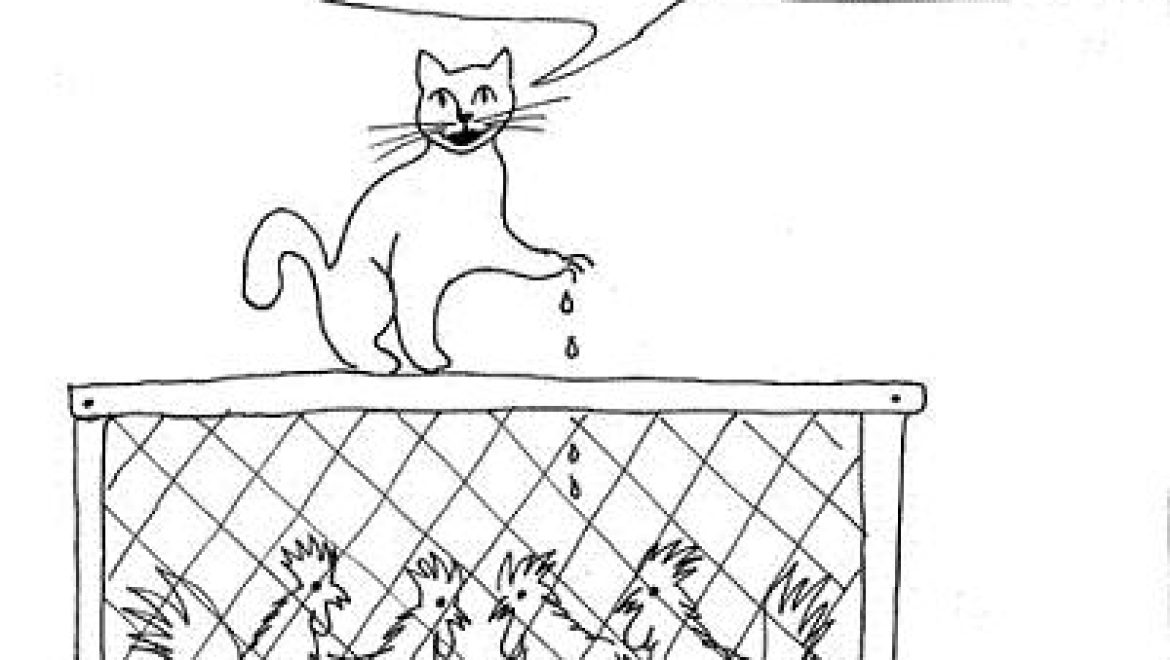 לחתול יש ארס בציפורניים שיכול להמית גדיים וטלאים?