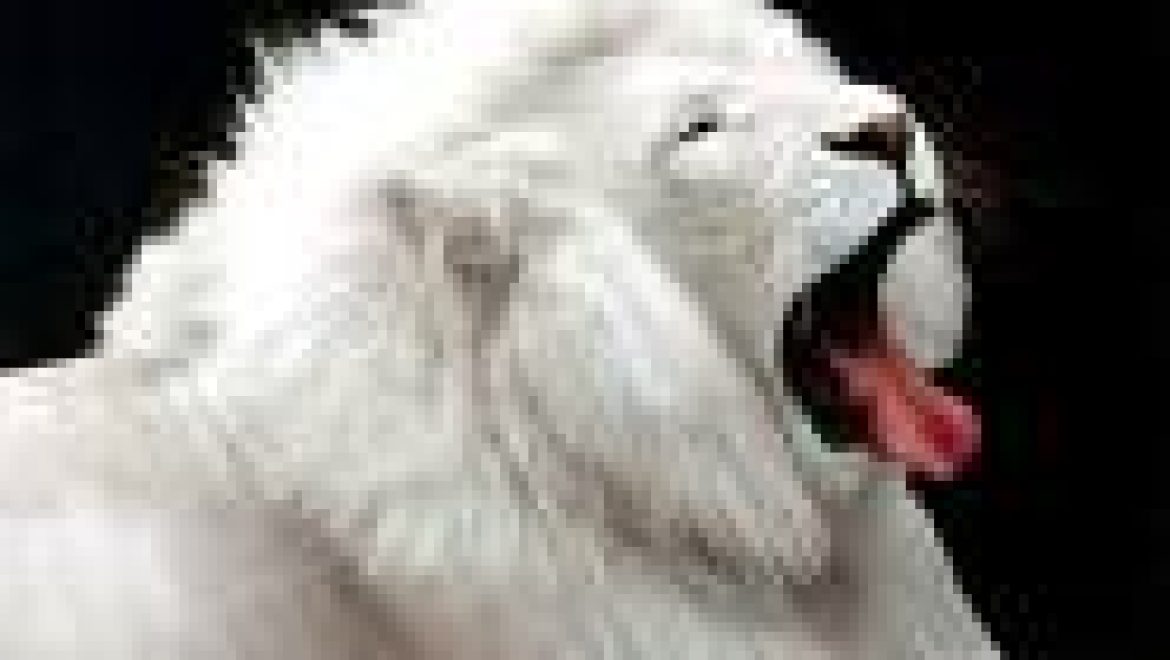 קדחת – חום המופיע כל שלושה ימים – בלשון התלמוד אשתא תילתא