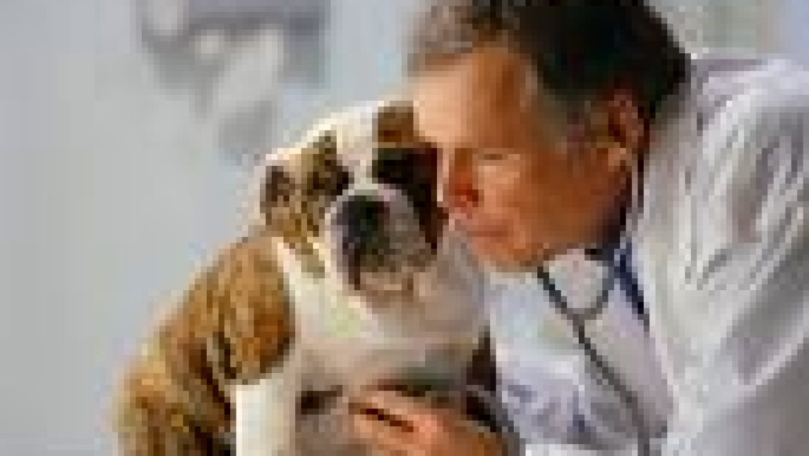 ננשך על-ידי כלב הנגוע בכלבת