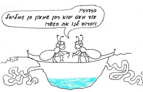 כיצד גורמים לקן נמלים להרוג זה את זה