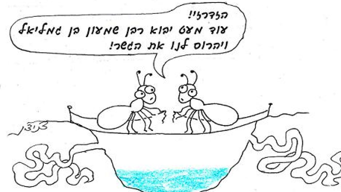 כיצד גורמים לקן נמלים להרוג זה את זה