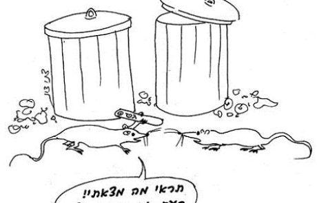 הלוקח ספר תורה מארון הקודש ונותן לאישתו כגט גירושים האם היא מגורשת?