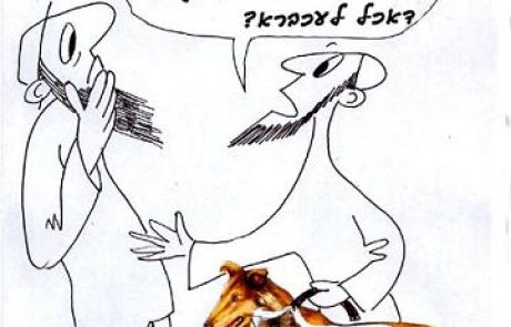 מדוע החתול אינו ניתן לאילוף? משום שאוכל עכברים!