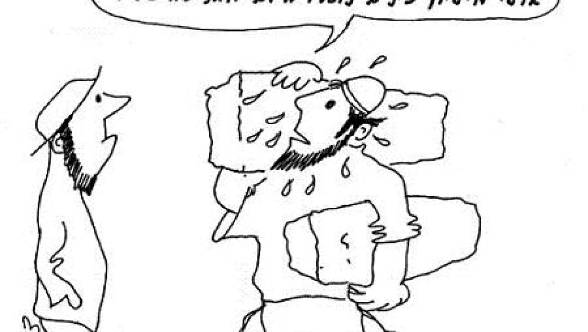 מותר להרוג כינה בשבת אבל לא ביצי כינים