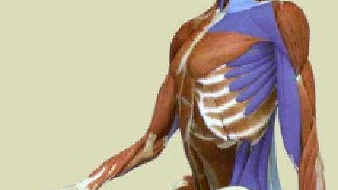 הפרעות נשימה עקב כיפוף סחוסי לצלע ליד הלב בלשון התלמוד אונקלי/ איסתומכא דליבא