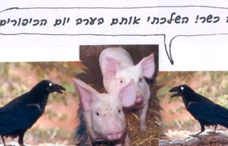 עורב שהשליך בשר בערב יום כיפורים הבשר כשר