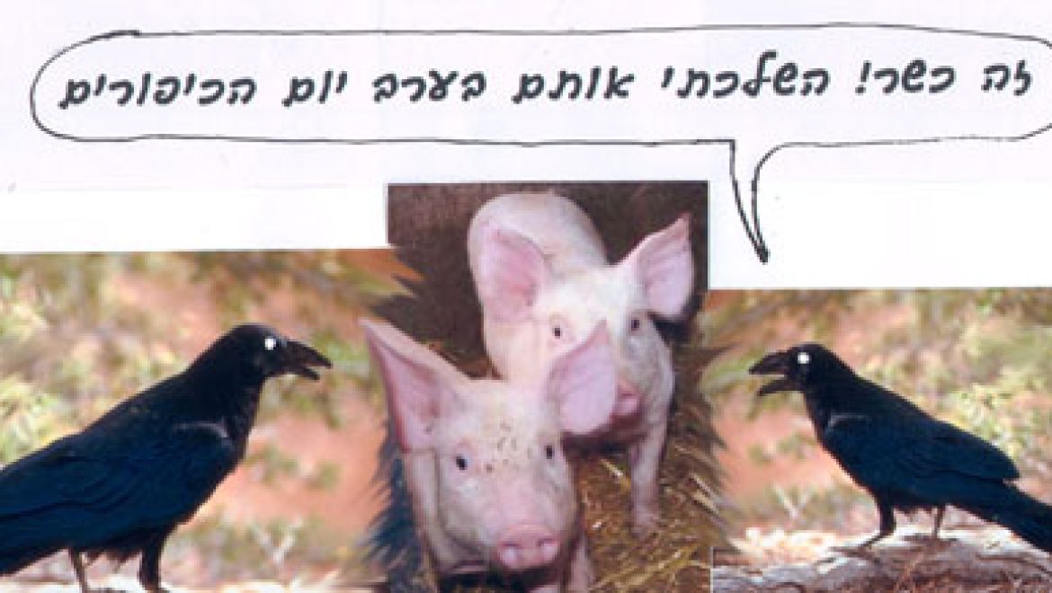 עורב שהשליך בשר בערב יום כיפורים הבשר כשר