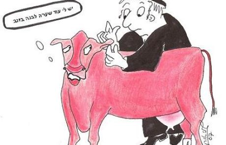 פרה אדומה שצמחה לה שערה לבנה בזנב ושערה לבנה בראשה כשרה או פסולה?