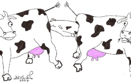 Корова, родившая теленка непосредственно в утробу другой коровы