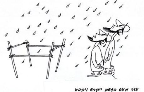 סכך סוכה צריך שיהיה מהצומח ושאינו כלי או פירות.