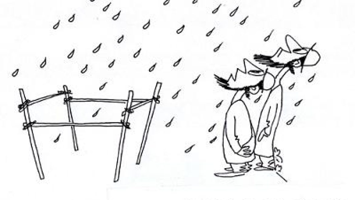 סכך סוכה צריך שיהיה מהצומח ושאינו כלי או פירות.