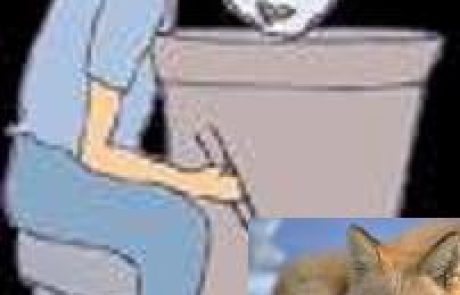 הפרעות שינה