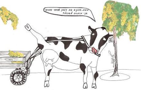 פועל הבוצר ענבים מגפן אחת מותר לו לאכול מענבים של אחרת?