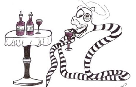 A snake who drinks diluted wine and leaves venom in it