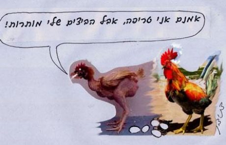 תרנגולת חולה המוגדרת טריפה ביצים שמטילה המופרות מותרות שאינן מופרות אסורות