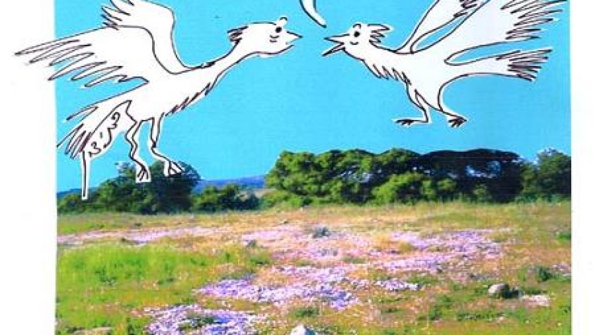 תולעים שלא זחלו על הקרקע מותרות באכילה