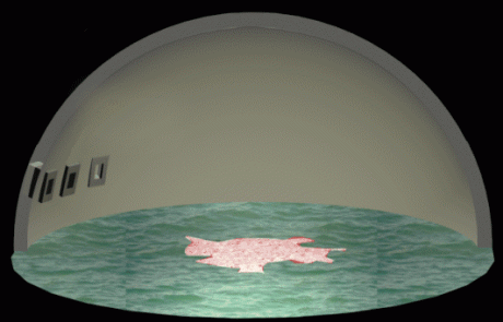 אורך כיפת השמיים ועובי הרקיע וזמן מהלך השמש מעלות השחר עד צאת הכוכבים