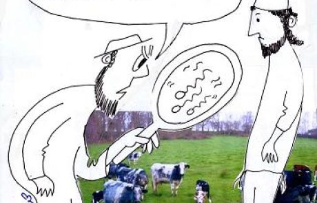 זרע גבר יהודי שיצא מרחם נוכריה ומרחם בהמה