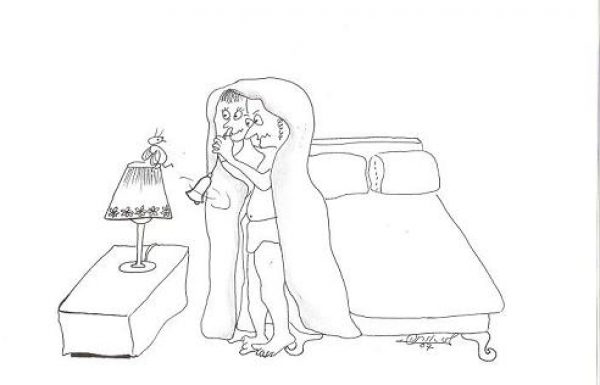 האם מותר לקיים יחסי מין כשיש עכבר, זבוב או יתוש בחדר